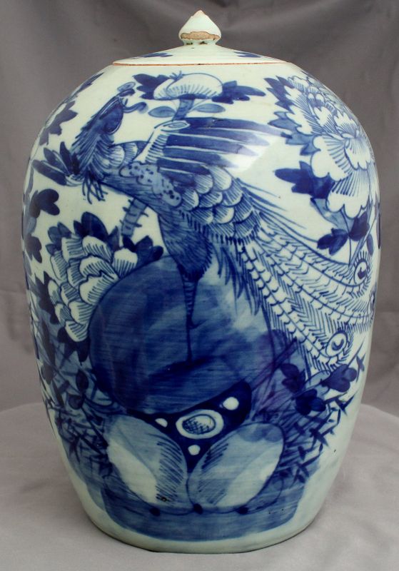 12.5" High Chinese Qing Blue White Porcelain Lidded Phoenix Peony Jar